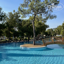 фото из отзыва ID 2209764