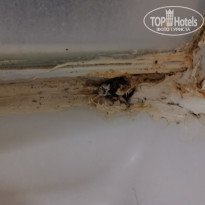 фото из отзыва ID 2209766