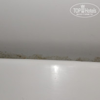 фото из отзыва ID 2209766