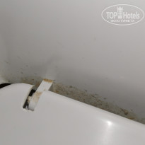 фото из отзыва ID 2209766