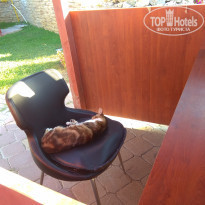 фото из отзыва ID 2209801