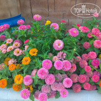 фото из отзыва ID 2209801