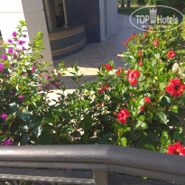 фото из отзыва ID 2209801