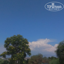 фото из отзыва ID 2209801