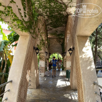 фото из отзыва ID 2209891