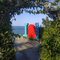 фото из отзыва ID 2209912