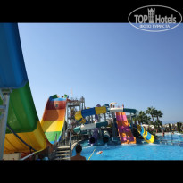 фото из отзыва ID 2209969