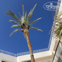 фото из отзыва ID 2209453