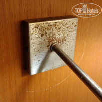 фото из отзыва ID 2209192