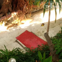 фото из отзыва ID 2209192