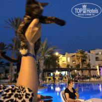 фото из отзыва ID 2208643