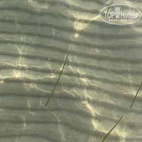 фото из отзыва ID 2208643