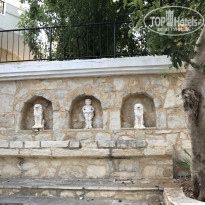 фото из отзыва ID 2208128