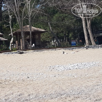 фото из отзыва ID 2204547