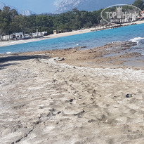 фото из отзыва ID 2204547