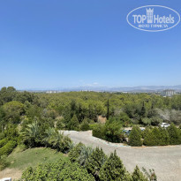 фото из отзыва ID 2210066