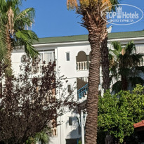 фото из отзыва ID 2210202