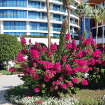 фото из отзыва ID 2210216