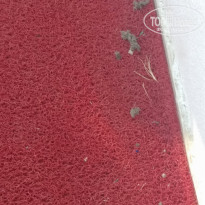 фото из отзыва ID 2210322