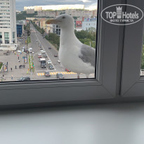 фото из отзыва ID 2210459