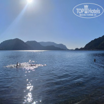 фото из отзыва ID 2210464