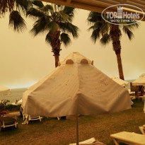 фото из отзыва ID 2210883