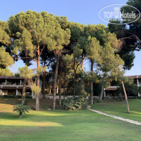 фото из отзыва ID 2211074