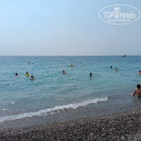 фото из отзыва ID 2211155