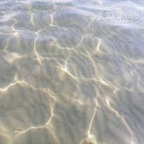 фото из отзыва ID 2211158