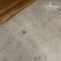 фото из отзыва ID 2211287