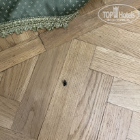 фото из отзыва ID 2211287