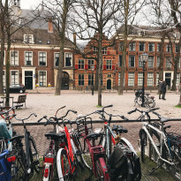 фото из отзыва ID 2211363