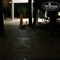 фото из отзыва ID 2211415