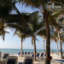 фото из отзыва ID 2211415