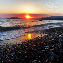 фото из отзыва ID 2211044