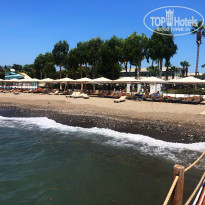 фото из отзыва ID 2211044