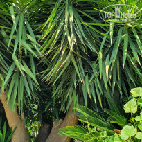 фото из отзыва ID 2211166