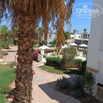 фото из отзыва ID 2211494