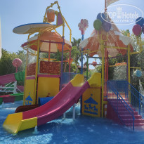 фото из отзыва ID 2211333