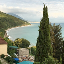 фото из отзыва ID 2212215