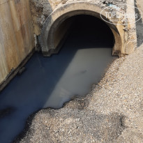 фото из отзыва ID 2210633