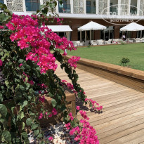 фото из отзыва ID 2212276