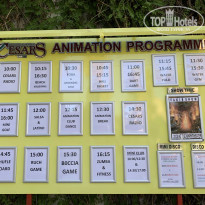 фото из отзыва ID 2212359