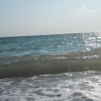 фото из отзыва ID 2212409