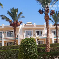 фото из отзыва ID 2212513