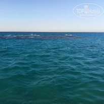 фото из отзыва ID 2212513