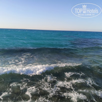 фото из отзыва ID 2212513