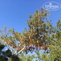 фото из отзыва ID 2212513