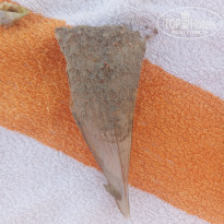 фото из отзыва ID 2212513