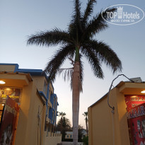 фото из отзыва ID 2212513